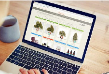 什么樣的品牌設計是成功的呢？