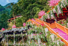 康養(yǎng)品牌策劃設(shè)計(jì)從定位到實(shí)施，打造健康美麗的未來