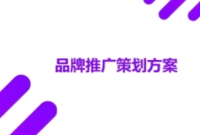 如何進行有效的品牌策劃吸引消費者，提高市場份額？