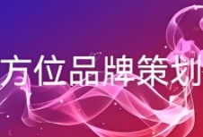 如何通過有效的品牌策劃，幫助建材品牌在眾多競爭者中脫穎而出？